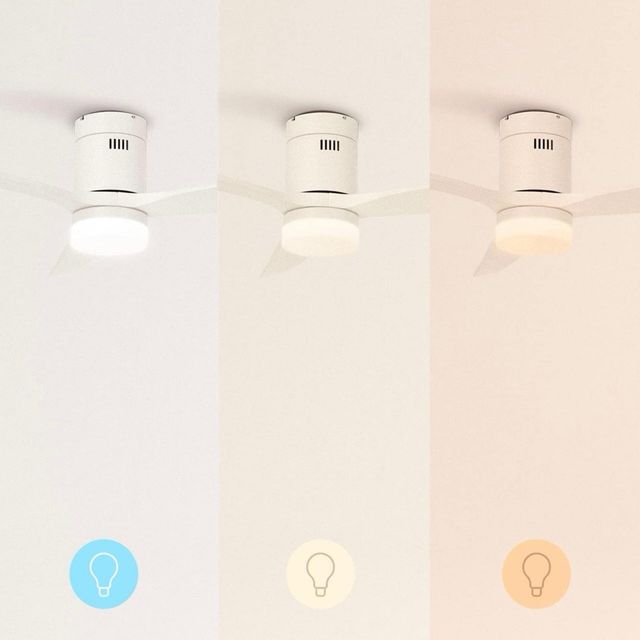 Ventilador de techo con luz Disponibles 2 unidades