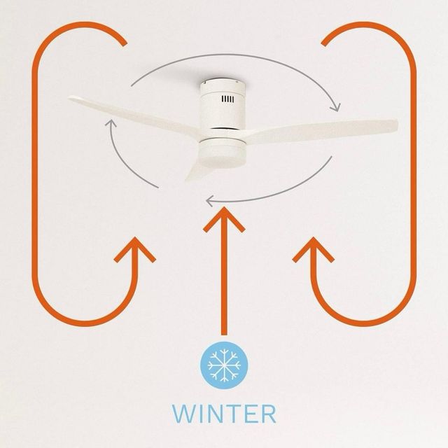 Ventilador de techo con luz Disponibles 2 unidades