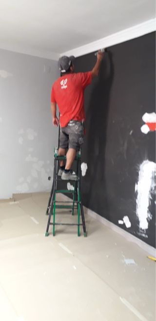 TRABAJOS DE PINTURA ECONÓMICOS