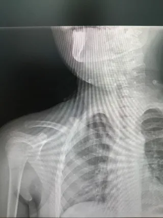 Despiece Suzuki DJebel/Supertenere 90s