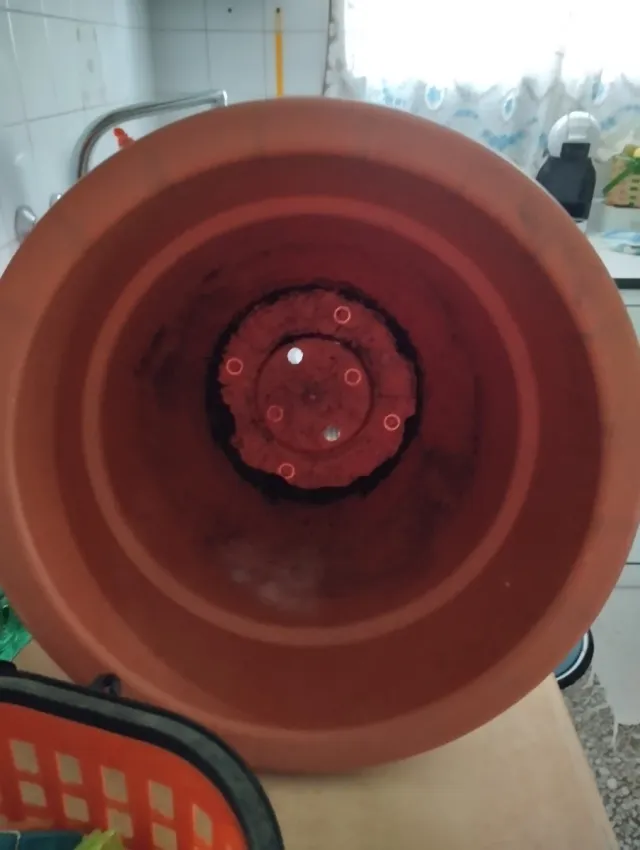 2 Maceteros Chinos Marrones 40cm