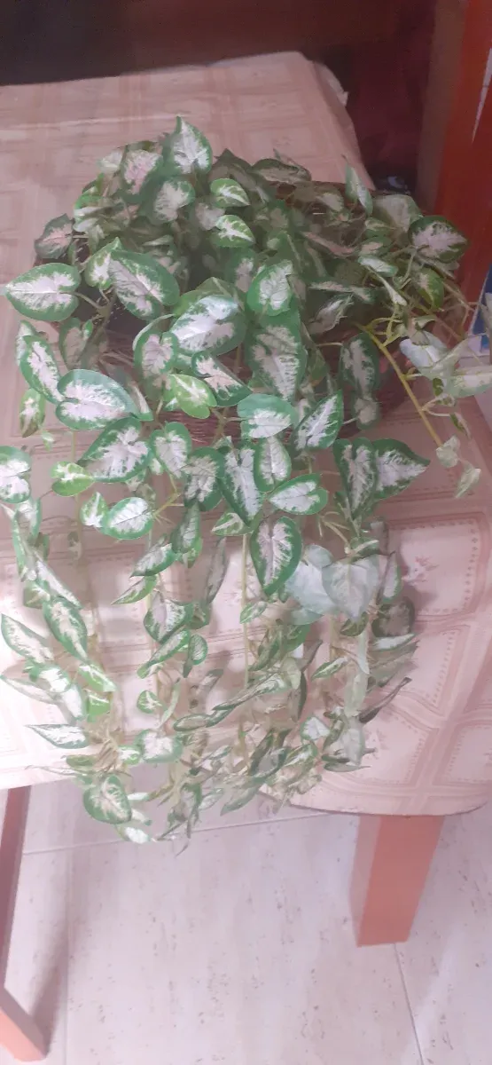 Pianta artificiale con cesta