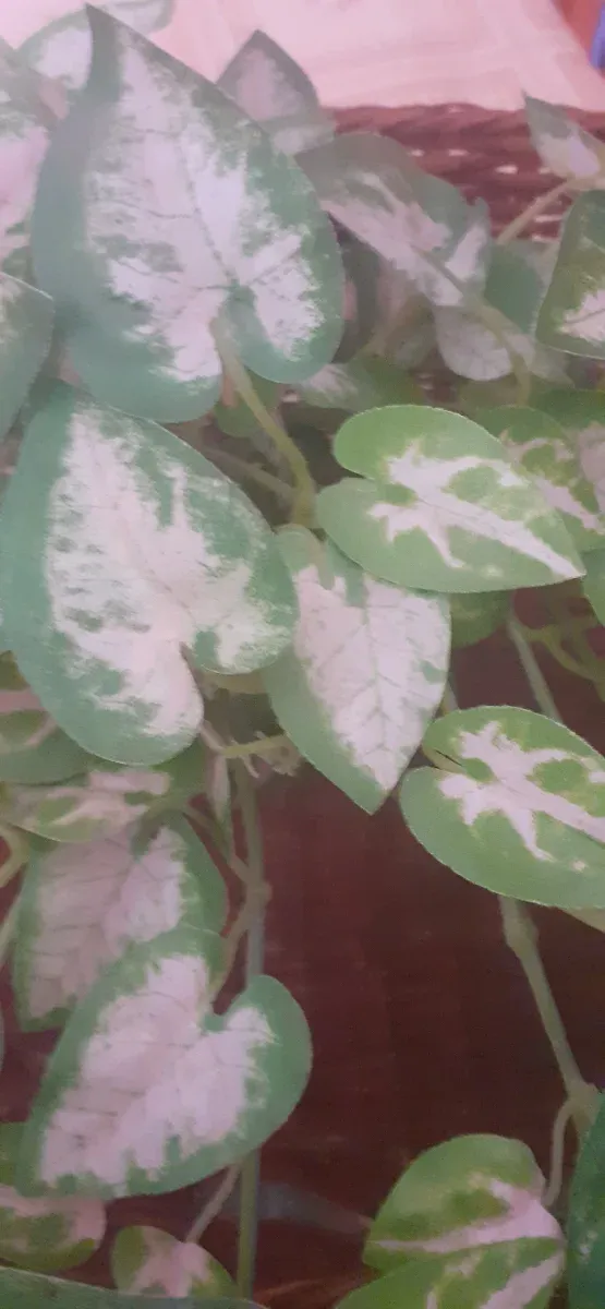 Pianta artificiale con cesta