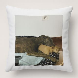 Funda de cojines personalizados.