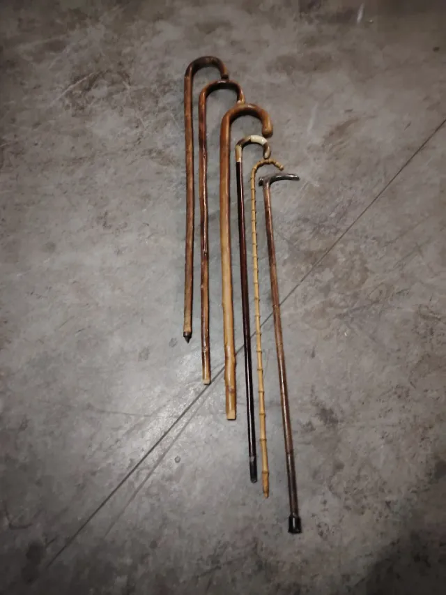 6 Bastoni da passeggio in legno