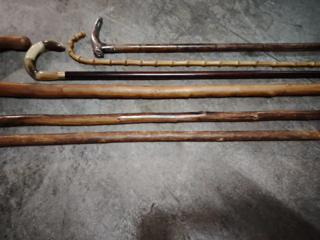 6 Bastoni da passeggio in legno