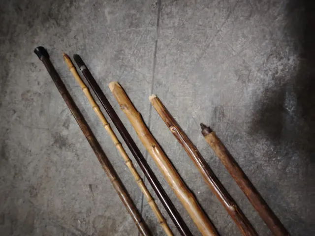 6 Bastoni da passeggio in legno