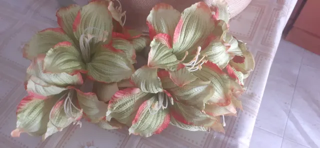 Cestino di iuta con fiori