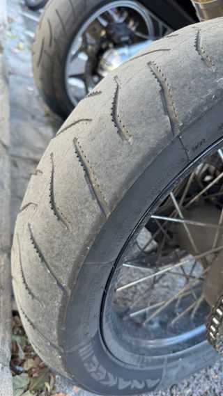 Michelin Anakee Adventure 21 y 17 Trail