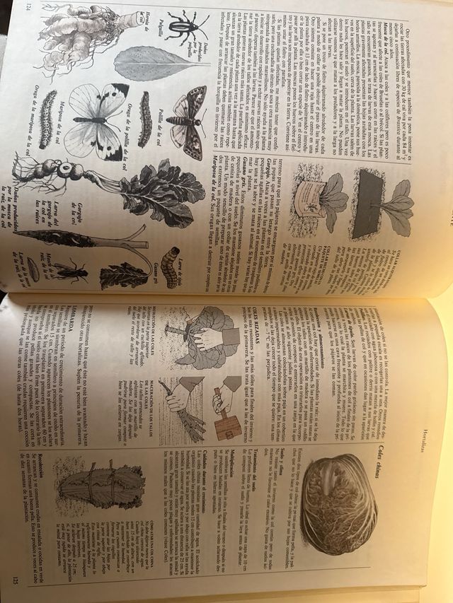 El Horticultor Autosuficiente