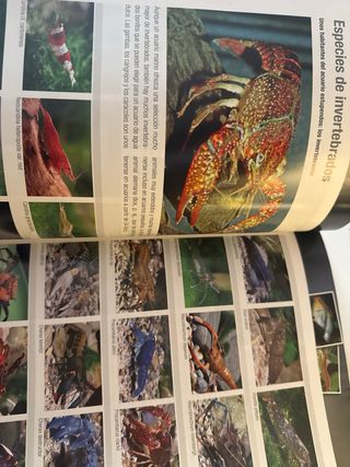 revista libro manual de acuario