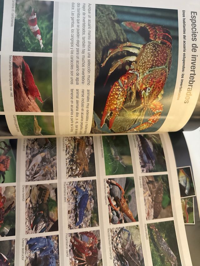 revista libro manual de acuario