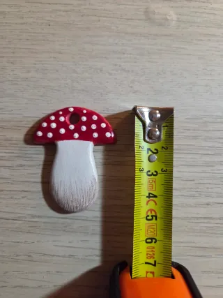 4 Funghi da Appendere.