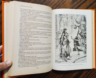 Libro I misteri della jungla nera è un libro di Em
