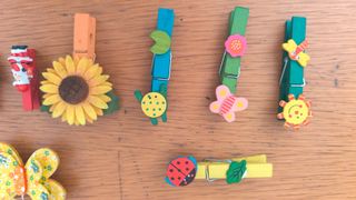 Mollette decorative a tema natura