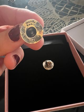 Charm Pandora Harry Potter