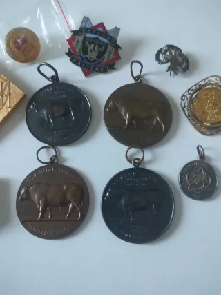 Lote Medallas Insignias Antiguas Varias