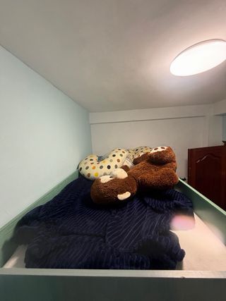 Mueble juvenil litera con escritorio