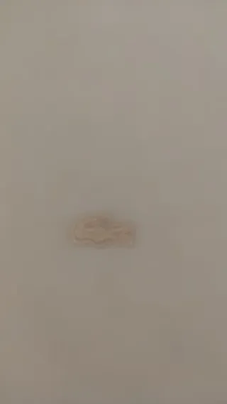 Sudadera Lacoste Amarilla