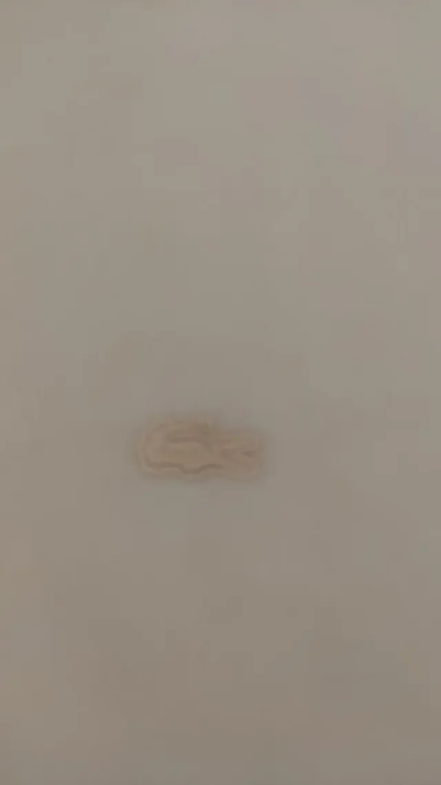 Sudadera Lacoste Amarilla