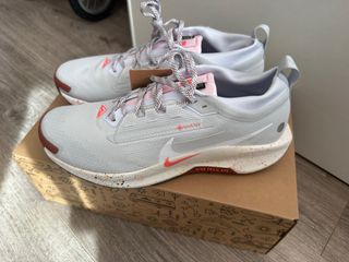 Nike Pegasus Trail Gore-Tex Gris Rosa