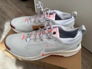 Nike Pegasus Trail Gore-Tex Gris Rosa