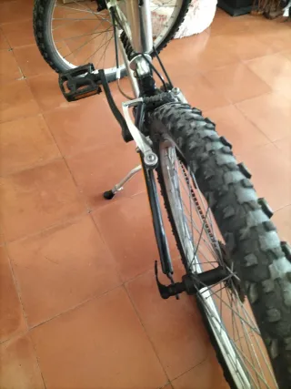 Bicicleta de Montaña