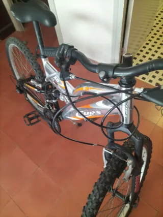 Bicicleta de Montaña
