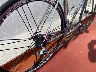 Colnago Decor Talla 50