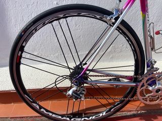 Colnago Decor Talla 50