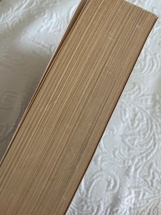 El amuleto (Spanish Edition)