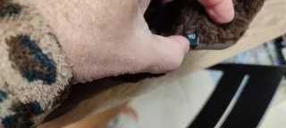 Botines piel vuelta marrones