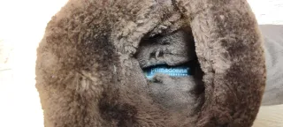 Botines piel vuelta marrones