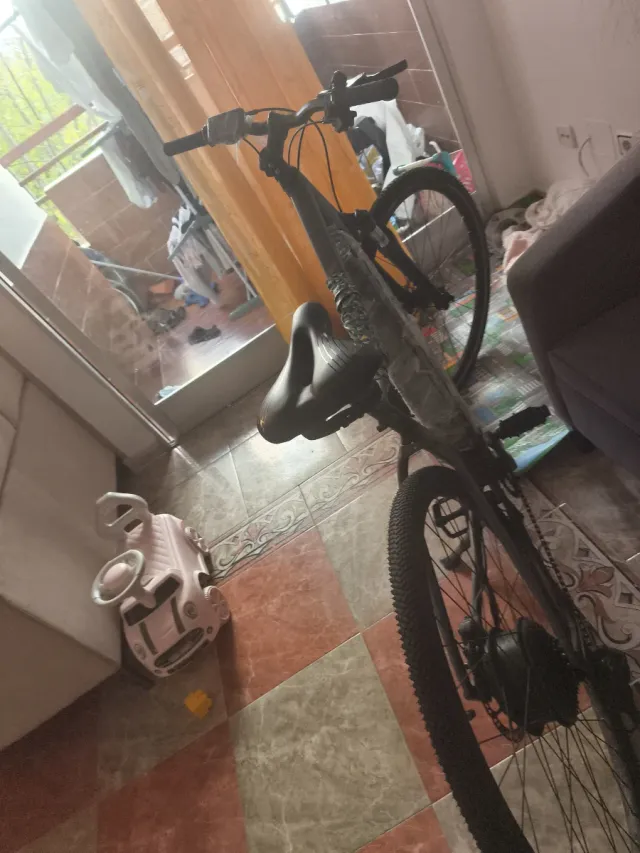 Bicicleta Eléctrica Gris