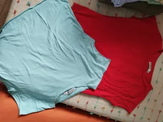 Lote Ropa Talla L/40/12 -