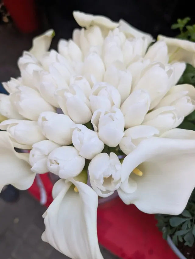 Ramos de novias, cumpleaños, fiestas.