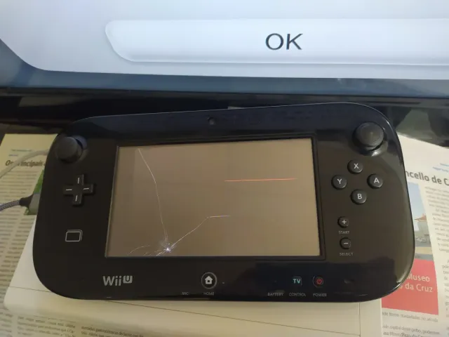 2 Gamepad Wii U Nintendo