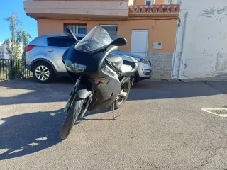 Aprilia RS 50 Culo de Avispa