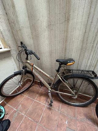 Bicicleta de Montaña Boomerang