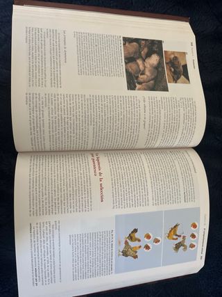 Invitación a la Biología. (Spanish Edition)