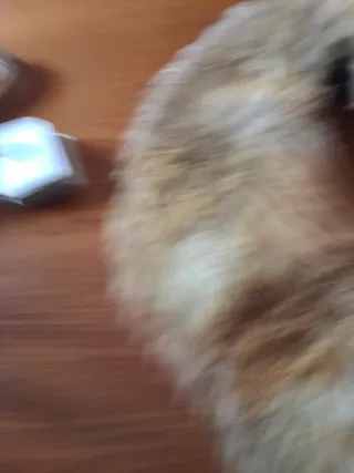 Collo in pelliccia di volpe