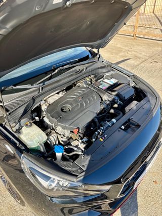 Hyundai i30 N Performance Sky 275cv