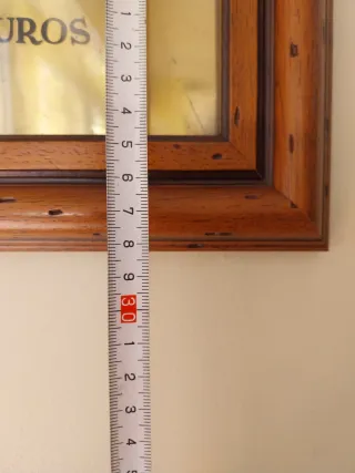 Placa Seguros Phoenix Assurance Company Limited