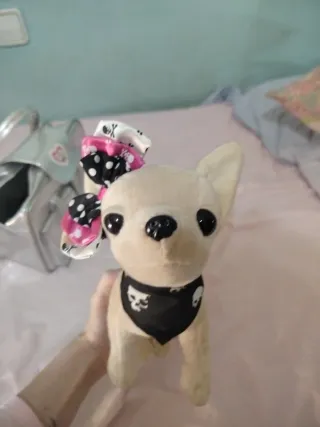 Perro Chi Chi Love