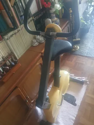 Bicicleta Estática Tonic