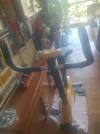 Bicicleta Estática Tonic