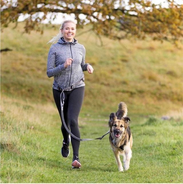 Cinturón Trixie con Correa Elástica