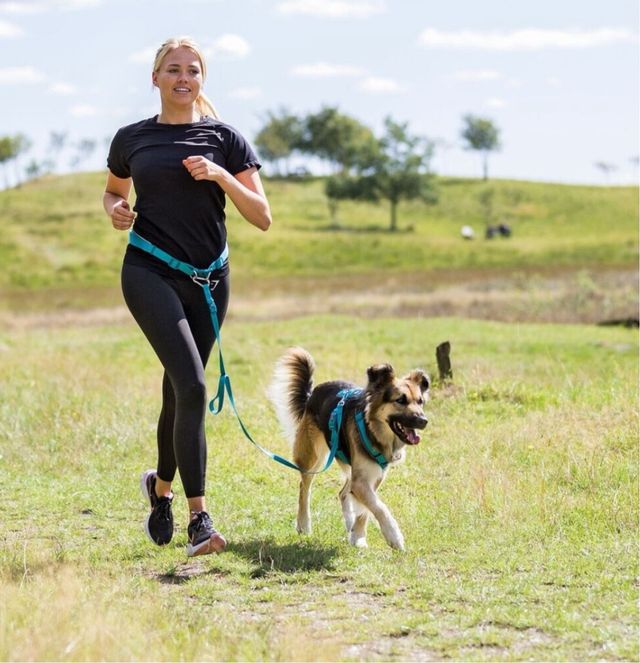 Cinturón Trixie con Correa Elástica