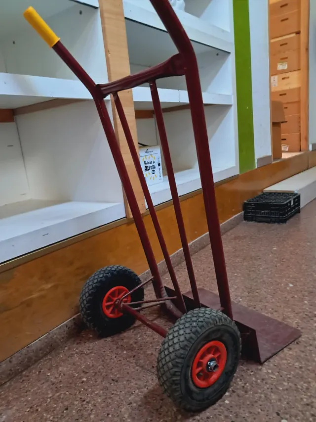 Carretilla de carga robusta