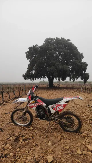 Gas Gas EC 250 en venta